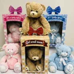 Gift Boxed Plush Bears