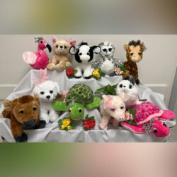 Plush Eyelash Pets Plush Eyelash Pets